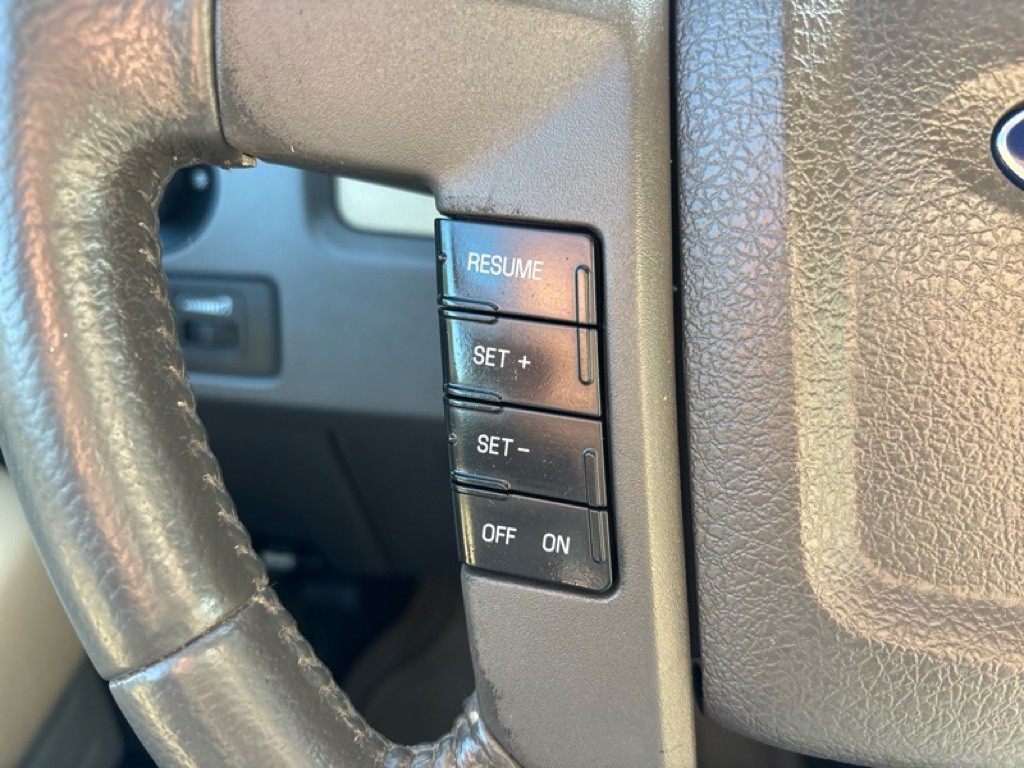 2010 Ford F-150 Image 12