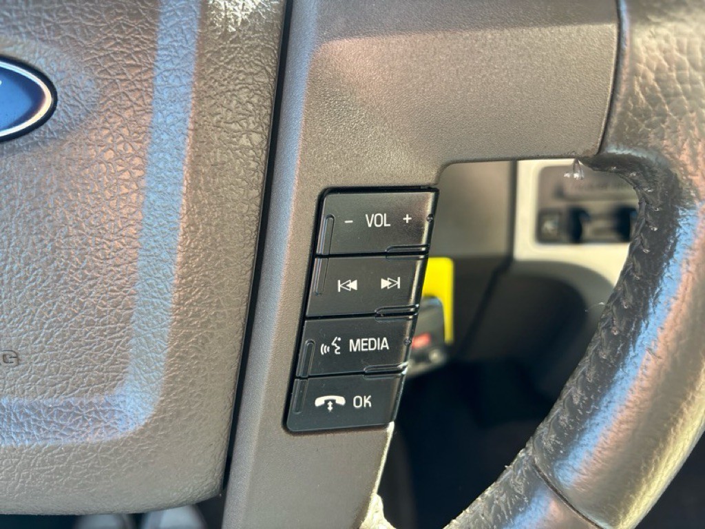 2010 Ford F-150 Image 13