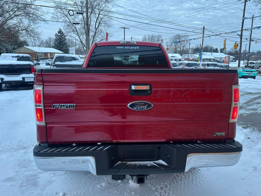 2010 Ford F-150 Image 4