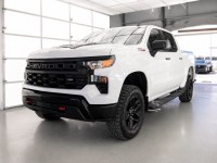 Image for 2024 Chevrolet Silverado 1500 Trail Boss Custom ID: 7485649